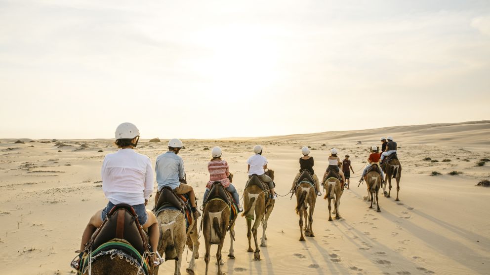 Sunset camel riding experience with in Anna Bay, Port Stephens